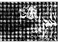 ANML0357.jpg