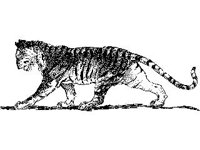 ANML0356.jpg