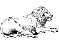 ANML0355.jpg