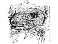 ANML0352.jpg