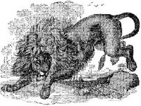 ANML0350.jpg