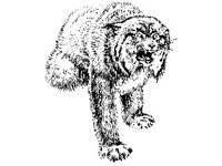 ANML0346.jpg