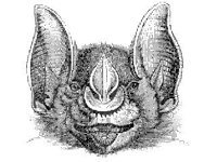 ANML0338.jpg