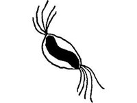 ANML0610.jpg