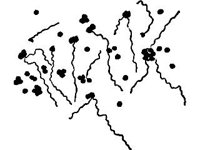 ANML0605.jpg