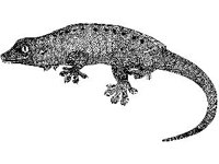ANML0632.jpg