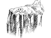 ANML0628.jpg
