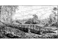 ANML0619.jpg