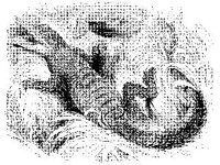 ANML0618.jpg