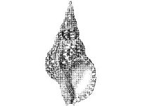 ANML0863.jpg