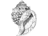 ANML0858.jpg
