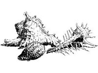 ANML0857.jpg