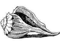 ANML0856.jpg