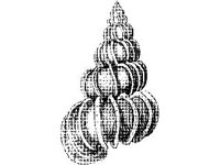 ANML0855.jpg