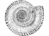 ANML0853.jpg