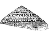 ANML0852.jpg