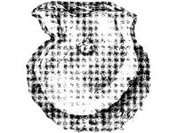 ANML0851.jpg