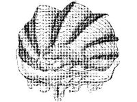 ANML0849.jpg