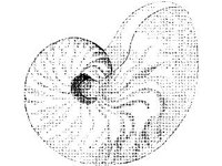 ANML0847.jpg