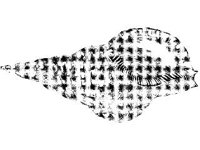 ANML0846.jpg
