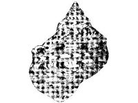 ANML0845.jpg