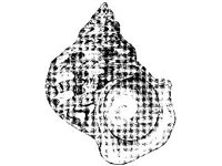 ANML0844.jpg