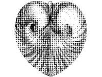 ANML0841.jpg
