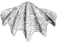 ANML0839.jpg