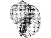 ANML0836.jpg