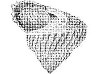 ANML0835.jpg