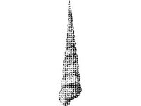 ANML0831.jpg