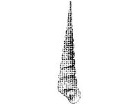 ANML0830.jpg