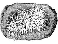 ANML0828.jpg