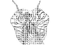 ANML0827.jpg