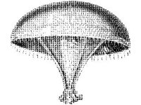 ANML0826.jpg