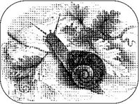 ANML0823.jpg