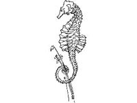 ANML0820.jpg