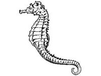 ANML0819.jpg