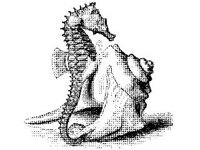 ANML0818.jpg