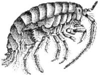 ANML0816.jpg