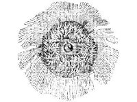 ANML0812.jpg