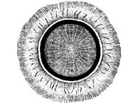 ANML0810.jpg