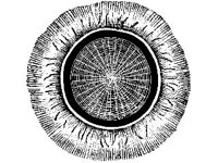 ANML0809.jpg