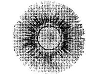 ANML0808.jpg