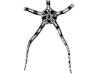 ANML0806.jpg