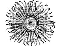ANML0802.jpg