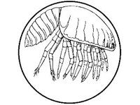 ANML0798.jpg