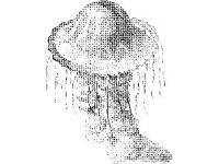 ANML0796.jpg