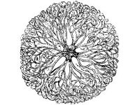 ANML0793.jpg