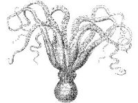 ANML0789.jpg